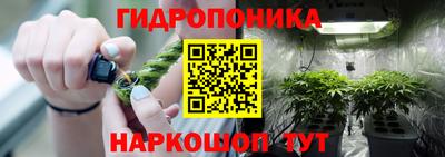 молекула духа Рыбинск