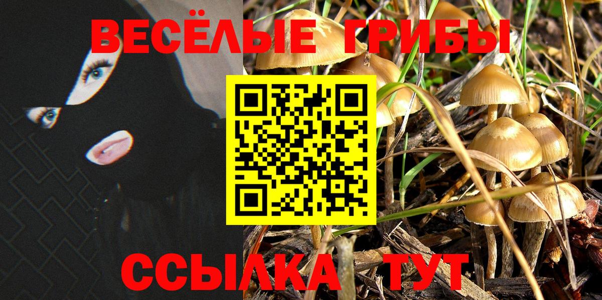 НБОМе Симферополь