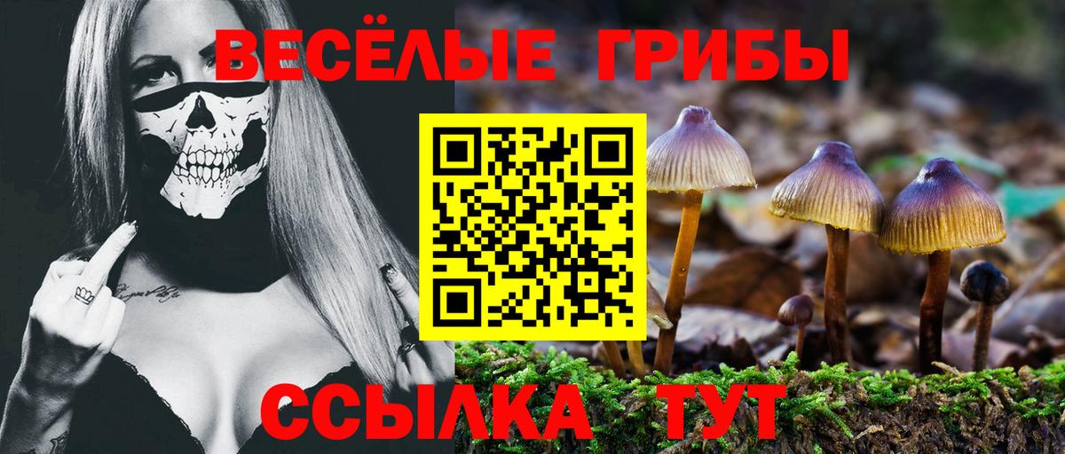Галлюциногенные грибы Psilocybine cubensis Симферополь
